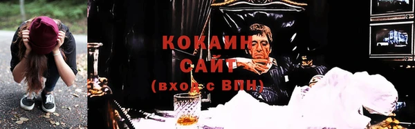 прущие грибы Нефтегорск