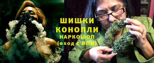 прущие грибы Нефтегорск