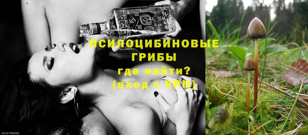 прущие грибы Нефтегорск