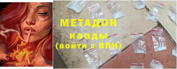шишки Новозыбков