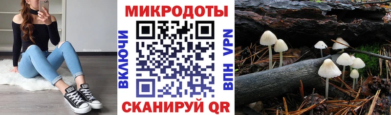 Купить закладки  Пенза  Псилоцибиновые грибы мухоморы 